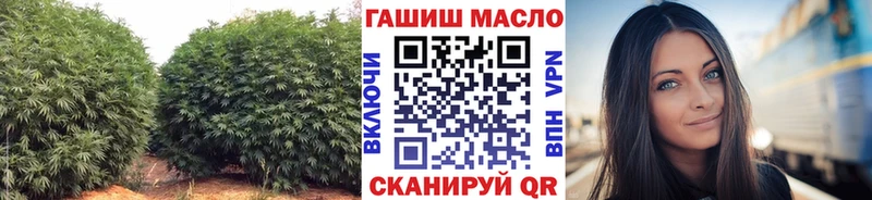 дарнет шоп  Орёл  ТГК гашишное масло 